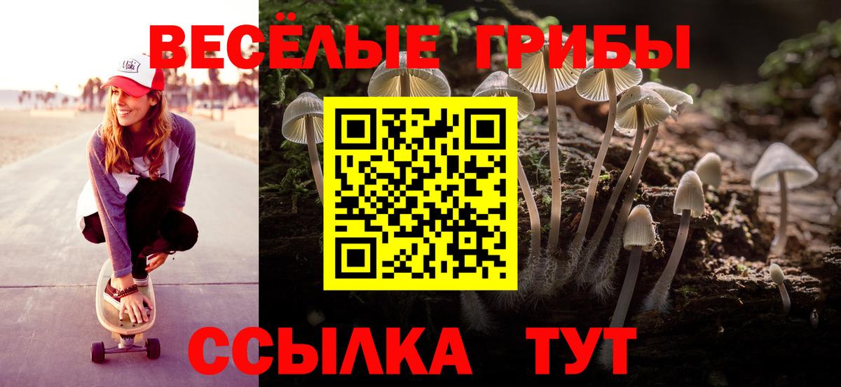 Галлюциногенные грибы Cubensis  Вход с VPN  продажа наркотиков  Галлюциногенные грибы GOLDEN TEACHER  Клин 