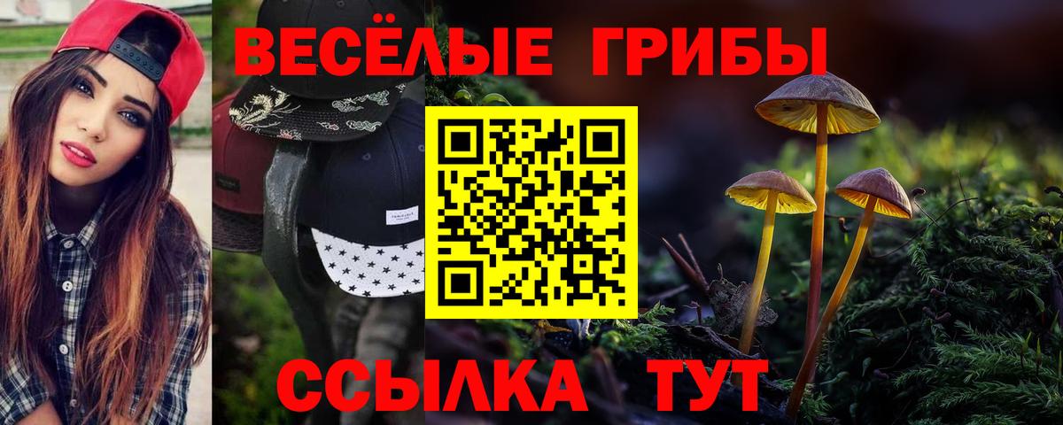Псилоцибиновые грибы мицелий Клин