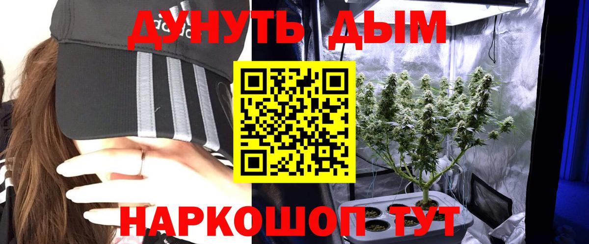 Марихуана сатива  Вход с VPN  Бошки Шишки семена  Клин  Бошки Шишки THC 21% 